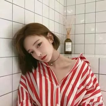 斑马头